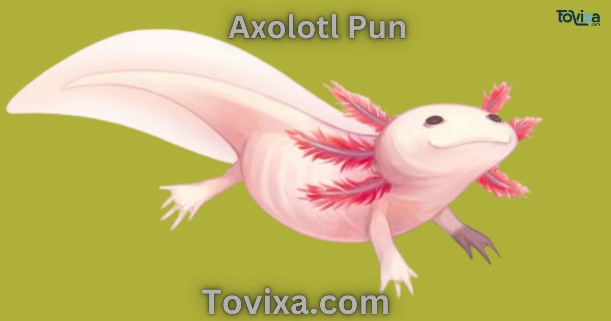 Axolotl Puns