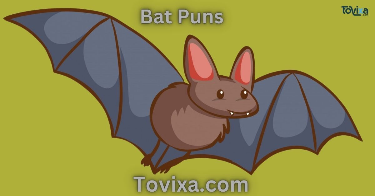 Bat Puns