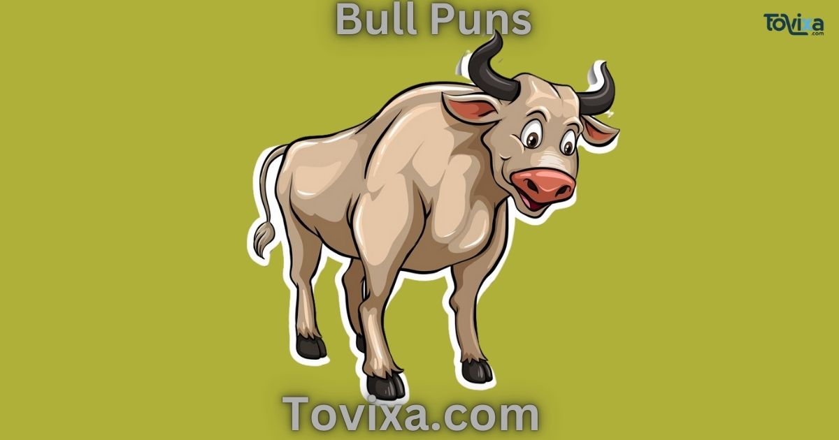 Bull Puns