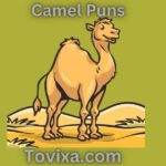 Camel Puns