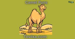 Camel Puns