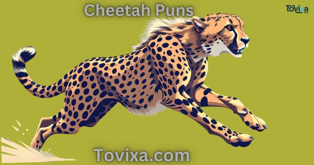 Cheetah Puns