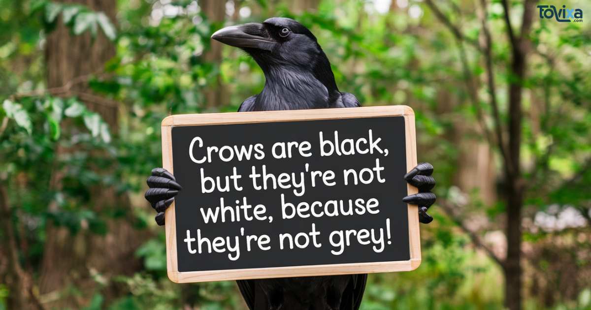 Crow Puns