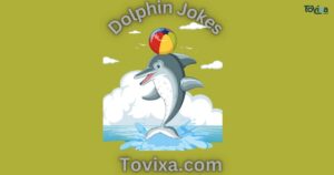 Dolphin Jokes