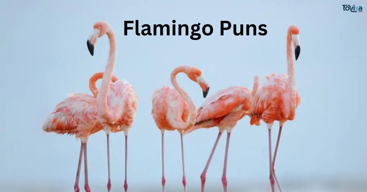 Flamingo Puns