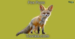 Fox Puns