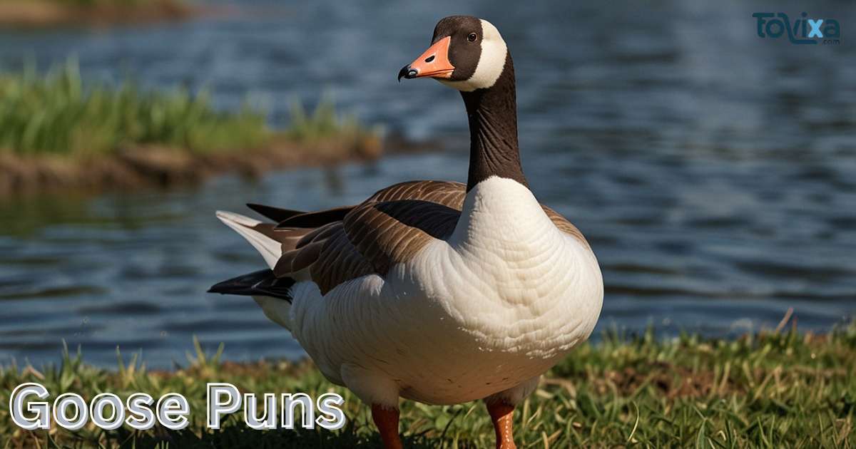 Goose Puns