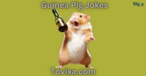 Guinea Pig Jokes