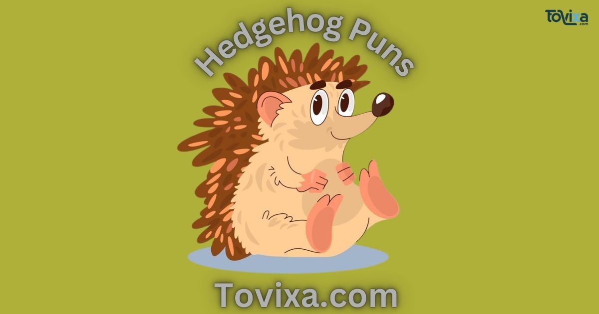 Hedgehog Puns