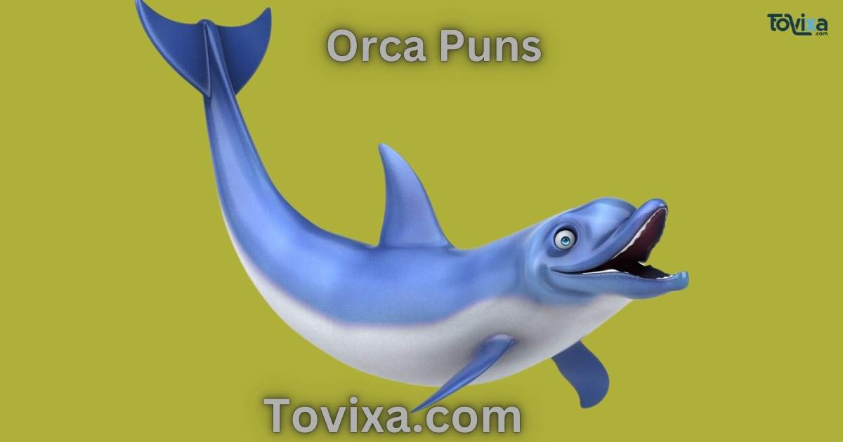 Orca Puns