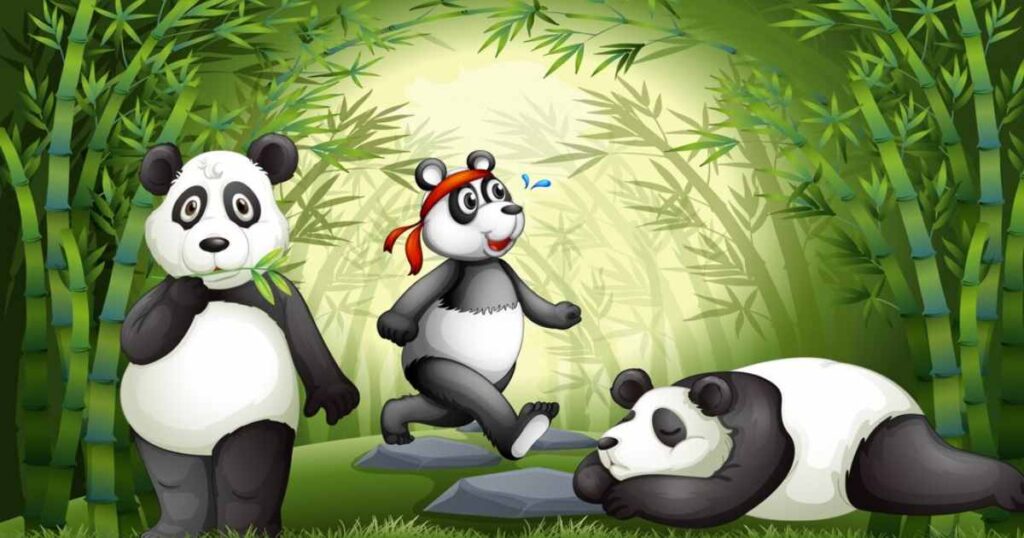 Panda Talk: Punny Moments 