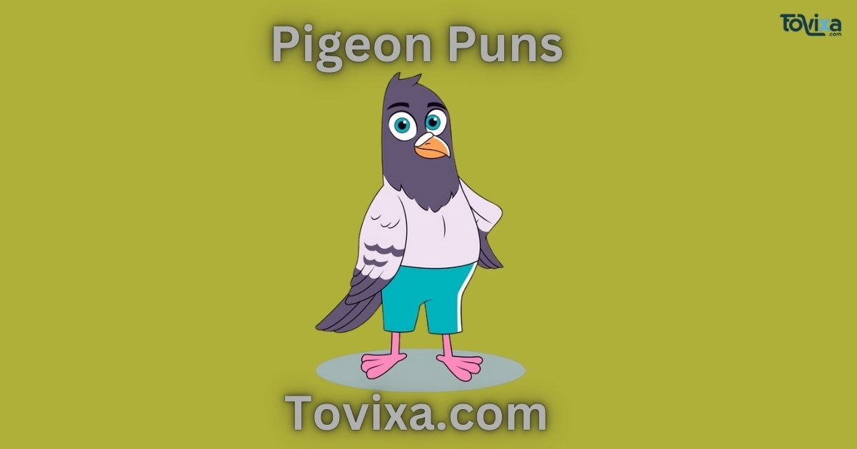 Pigeon Puns