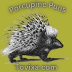 Porcupine Puns