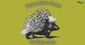 Porcupine Puns