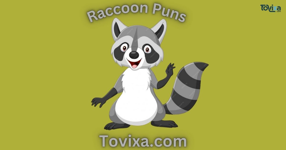 Raccoon Puns