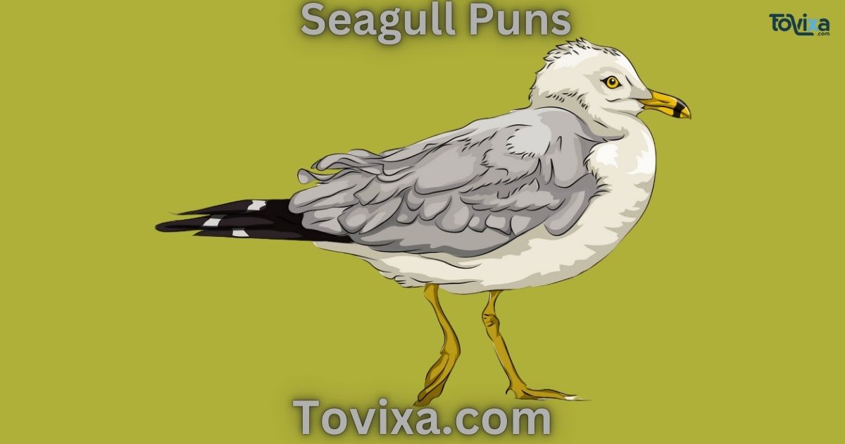 Seagull Puns