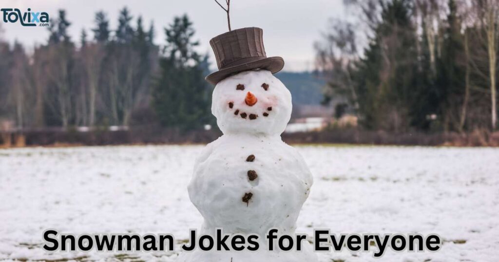 Snowman Jokes for Everyone 