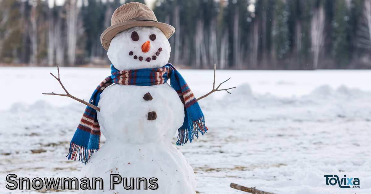 Snowman Puns