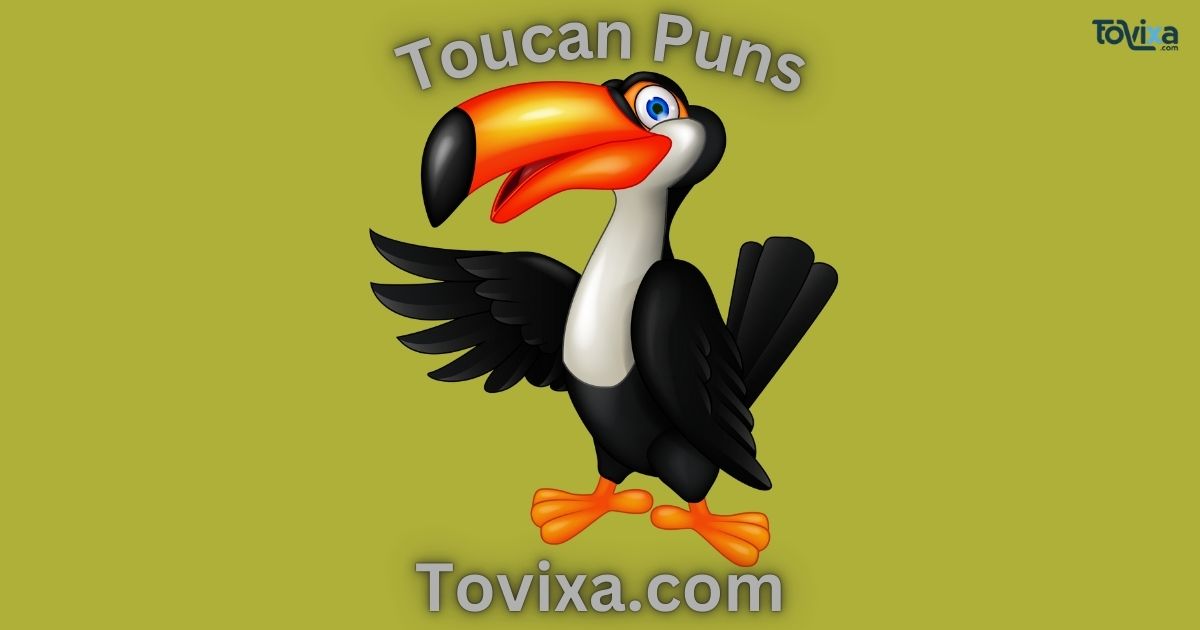 Toucan Puns