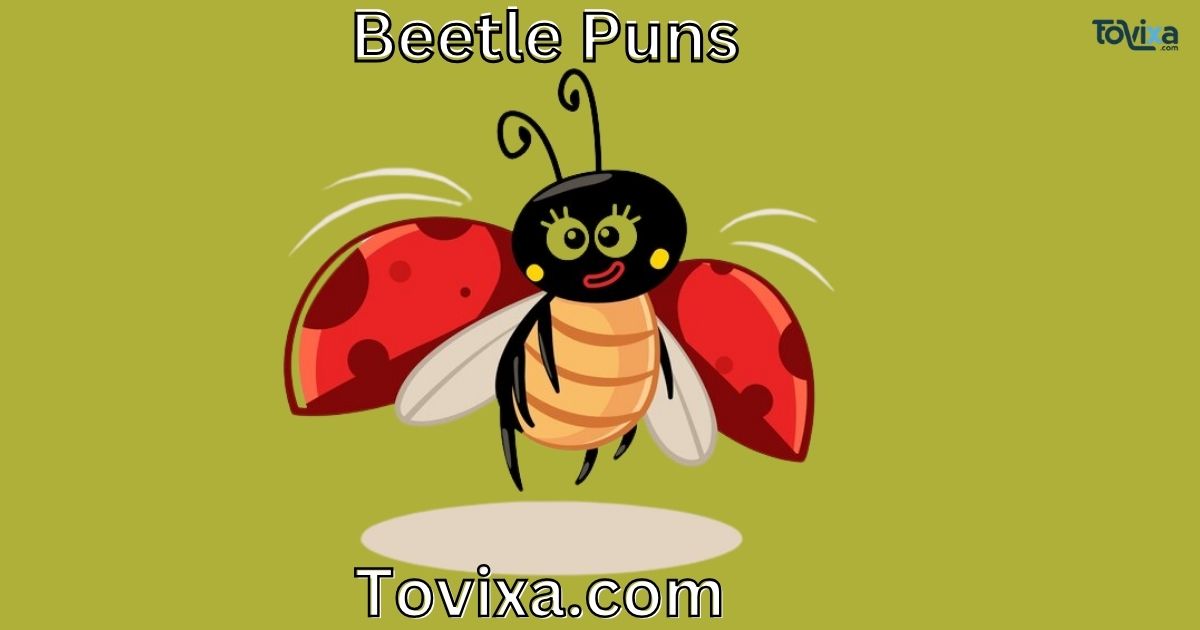 Beetle Puns