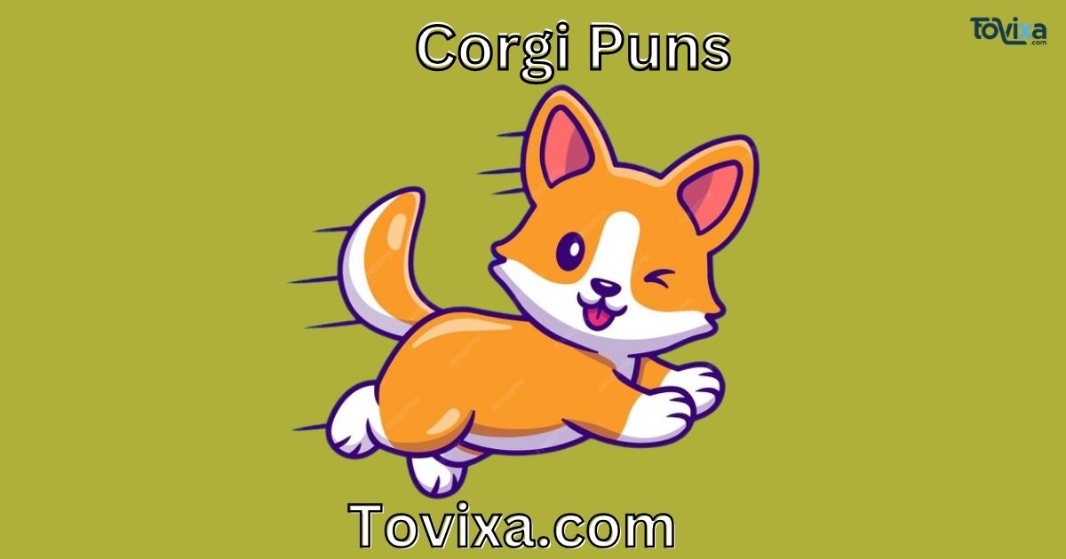 Corgi Puns