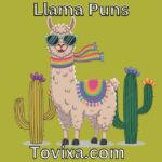 Llama Puns