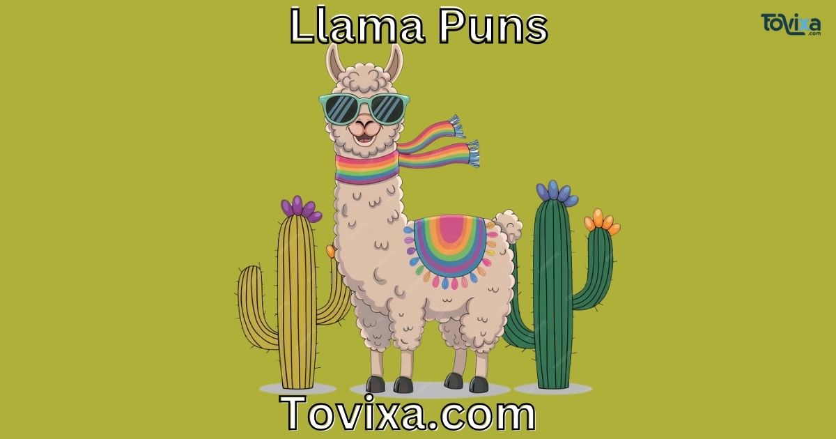 Llama Puns