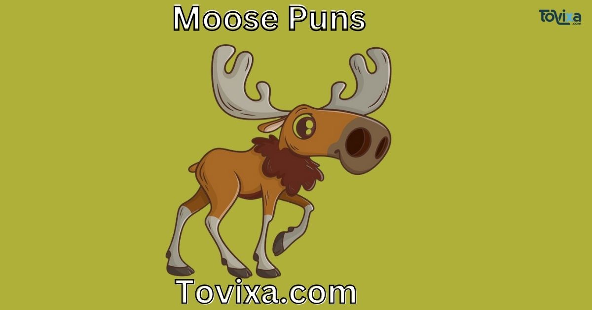 Moose Puns
