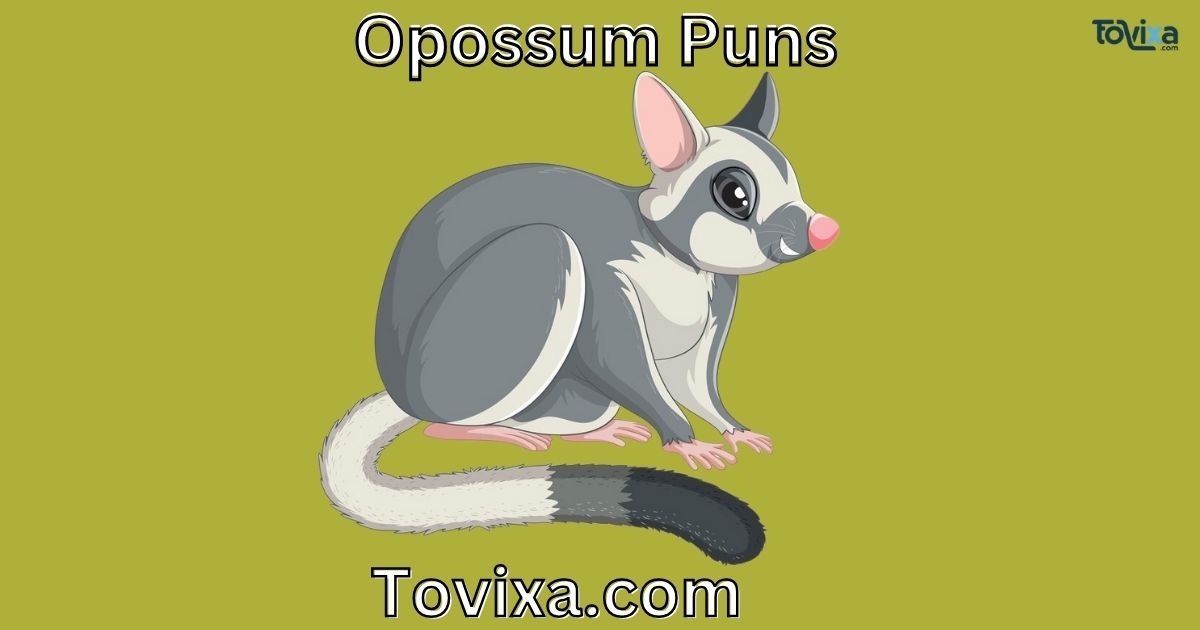 Opossum Puns