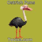 Ostrich Puns