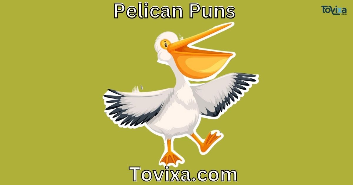 Pelican Puns