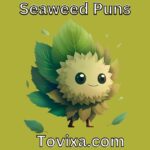 Seaweed Puns