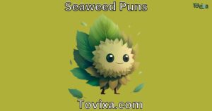 Seaweed Puns